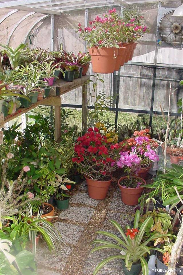 违章建筑：我就不信这也算违建，院里盖玻璃花房，四周通风只用来养花，物业管不着