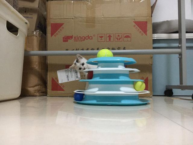 不刷春运免六怕，领个萌娃过大年！