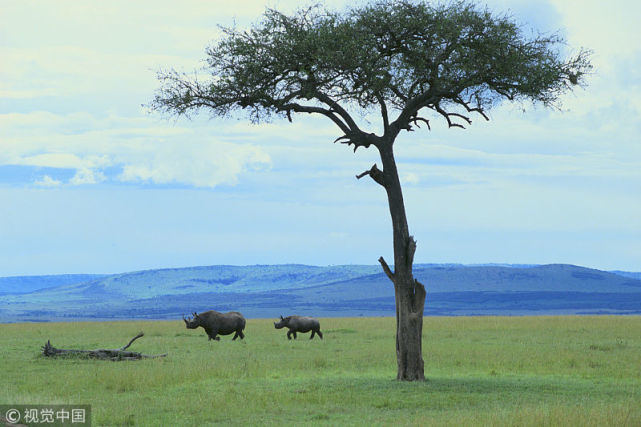生肖▲下半年，财运一路旺，桃花一路好，3个生肖两件喜事一起来！