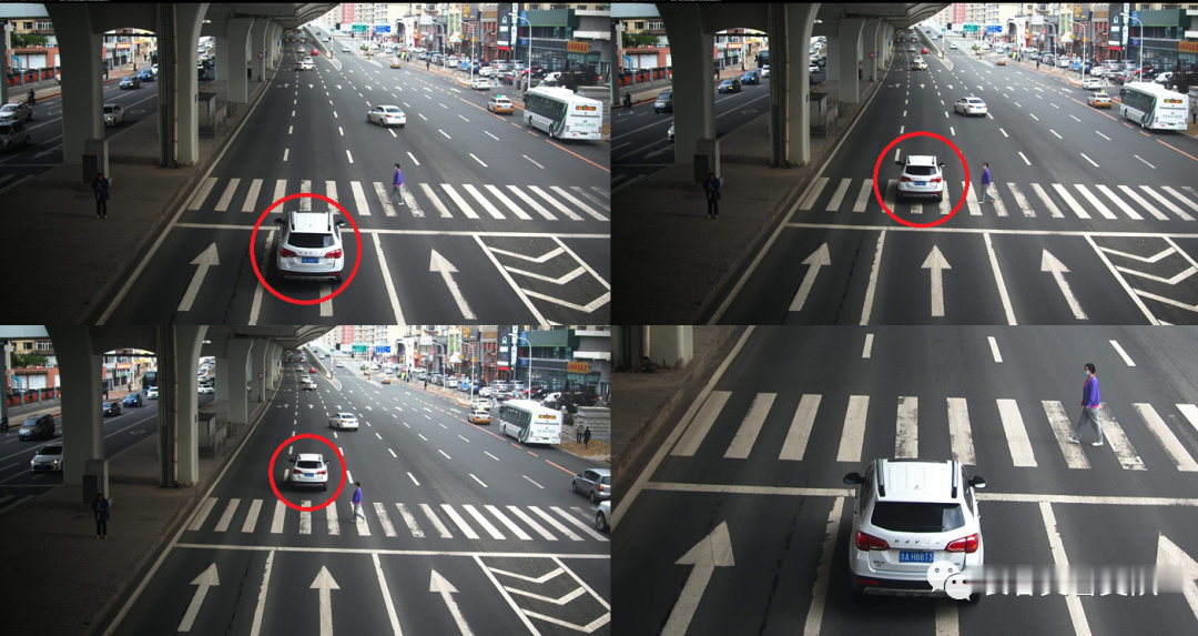 掌上长春|最新！长春这些人被曝光！