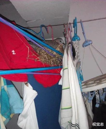 「标题党」比「假期结束」更可怕的事发生了……