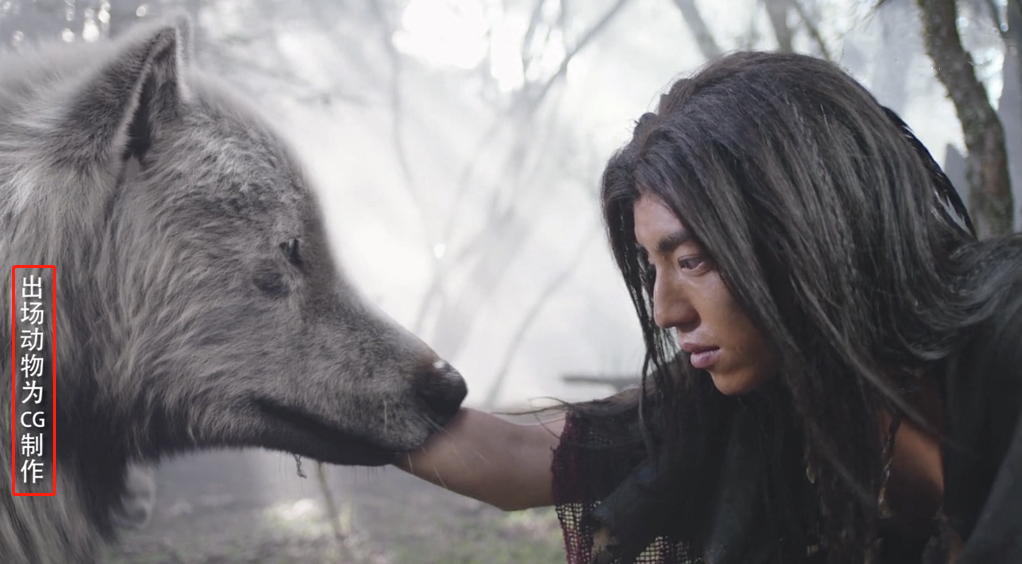 肖战|肖战新剧翻车！疑用国家二级保护动物冒充CG，专业人士出面打脸