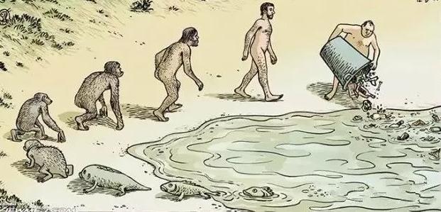 「化石」为什么地球只有人类直立行走？难道人类是被设计出来的？