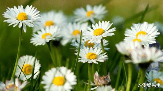 「生肖」4月初有机会翻身，八方聚财聚福，迎来一番好运的四大生肖