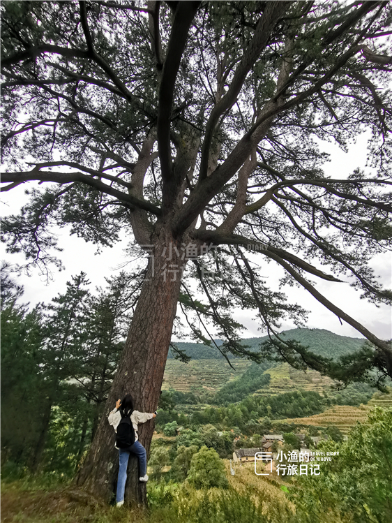 广西|陕南秦岭神秘古村，不通车只能步行，住北方四合院还说关中话