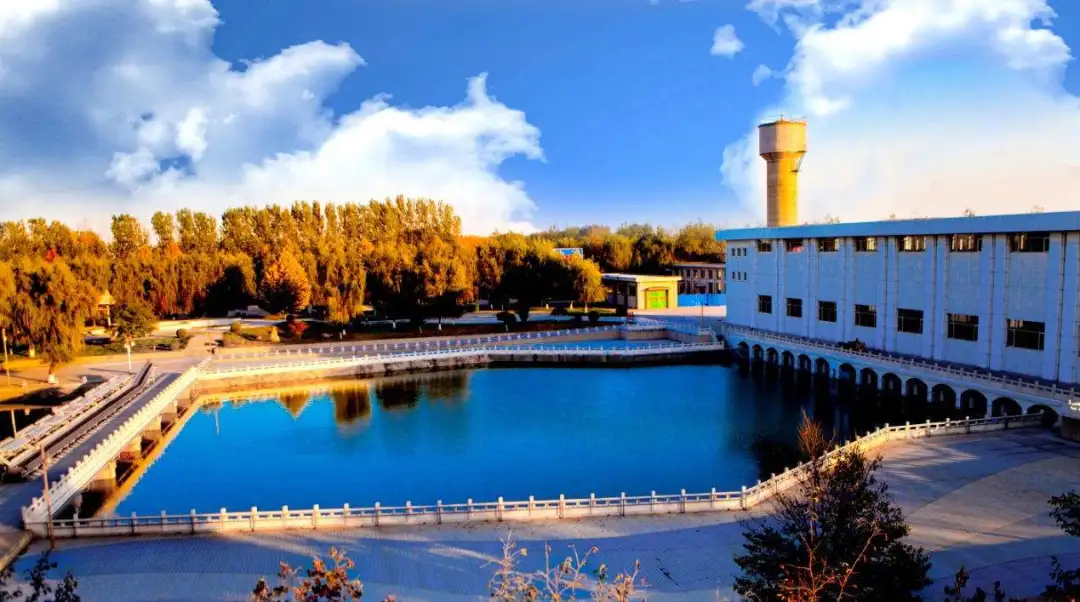 新加坡|新加坡,悲剧的宿命