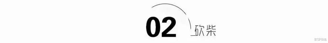 眼镜蛇▲“出狱后我们怎么生活？”“反正不打工，门口有保时捷在等我”