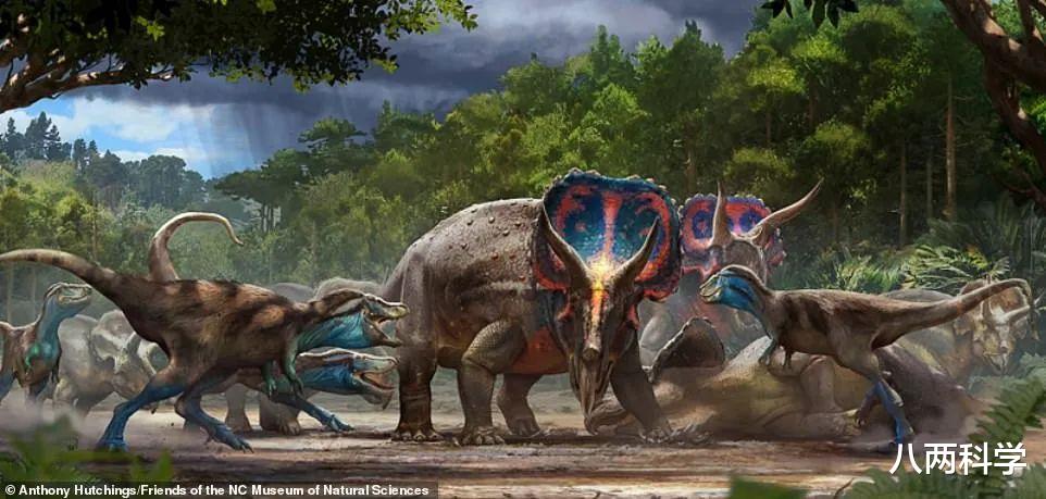 霸王龙|美国发现第一个完整的霸王龙骨架，或与三角龙搏斗，最后双双死亡！