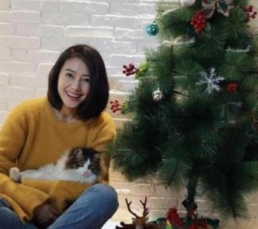 「」参观高圆圆现实的豪宅，尽管内部装修很普通，一进门也觉得是仙境