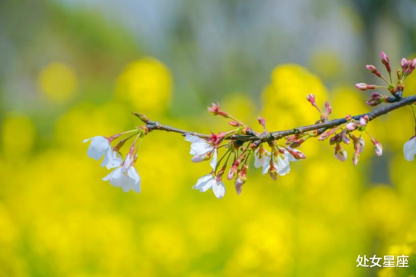 [运势]抬头见财，6月22号，财运畅通，运势节节攀升的3生肖，有望大赚