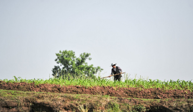 前方冲锋号 69岁环卫工寒冬街头猝死：无休息日3点起来工作，救护车到时身体已硬，曾希望干脆地走“不给子女添麻烦”