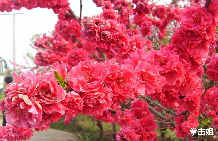 #运势#6月下旬鸿运高升,3生肖喜笑颜开,财神送财,挡也挡不住