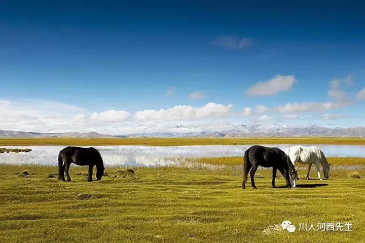 某东北女问北三县买房困扰丨案例88六爻问卦31
