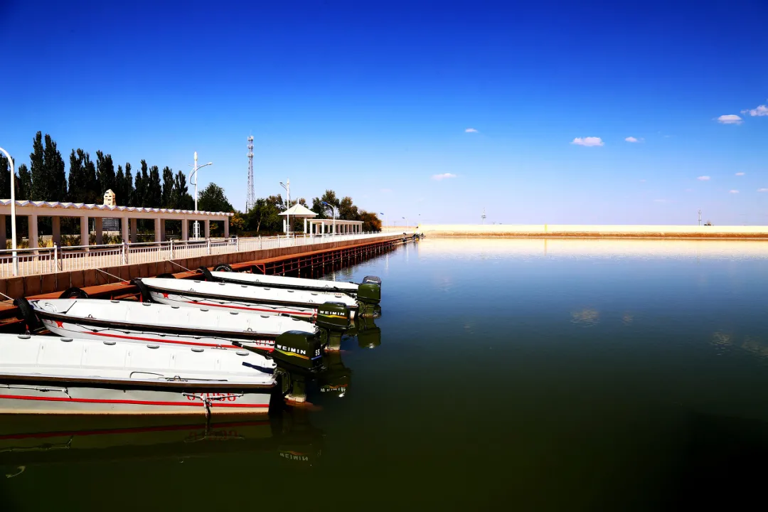 额济纳|忽然，想去额济纳了