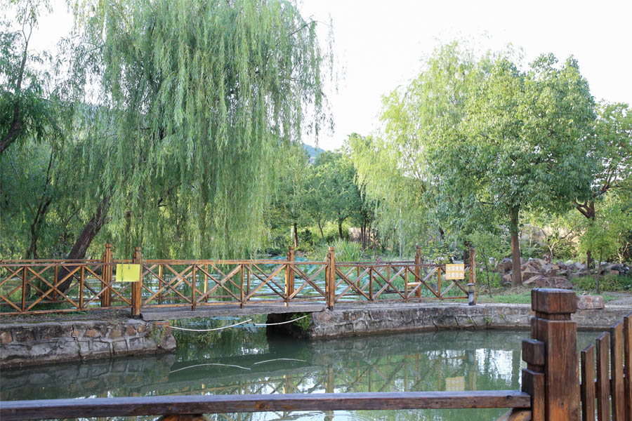 【钓鱼网站】这家农庄拥有百平的面积，钓鱼烧烤，草坪野炊，是你西山岛游玩的不二之选！