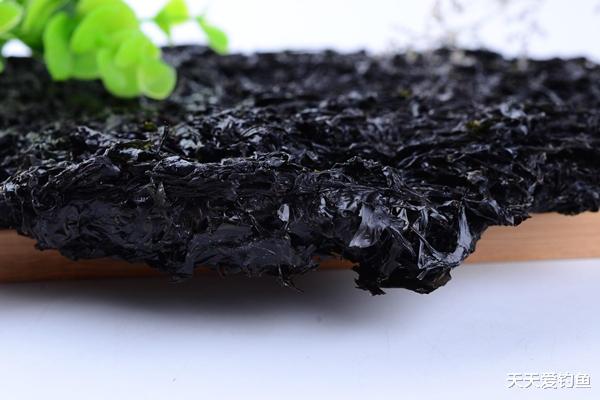 |钓鱼10多年，刚知道紫菜还可以做饵，通杀鲫草鲤，钓草鱼最优秀！