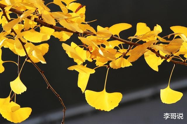 管住自己的嘴，千万不要说这样的话！