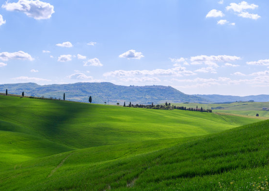 星座爱情观|8月5号开始，4属相有福有禄，有权有势，生活平安顺心