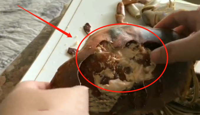 【面包蟹】花89元买一只“面包蟹”，巨肥，想大吃一顿，掰开后：拼夕夕没错了