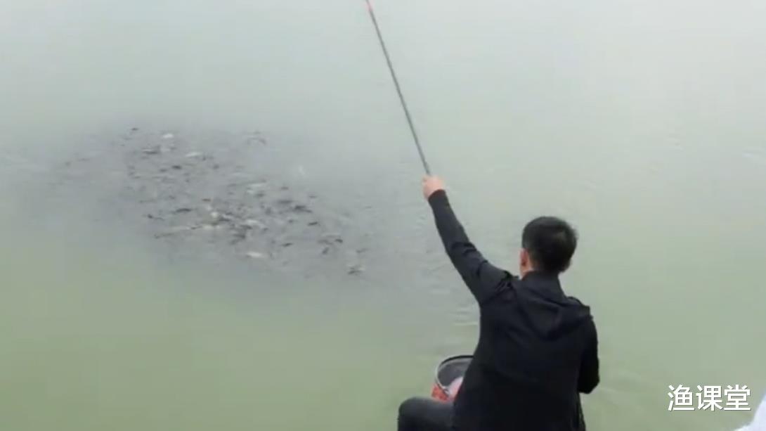 |玩不让“打窝”的黑坑，谁懂得用以下方法巧打窝，谁就能稳稳上岸