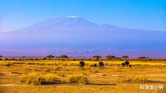 恐龙|恐龙存在2亿年，为何没有演化出智慧？科学家：技能点早了