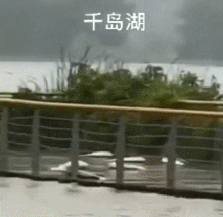 央视频|9孔全开！半小时放掉一个西湖！水去哪儿了？