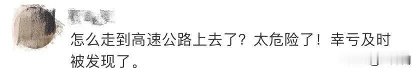 广州日报大洋网|女孩累倒在高速上，7分钟内13人为她报警