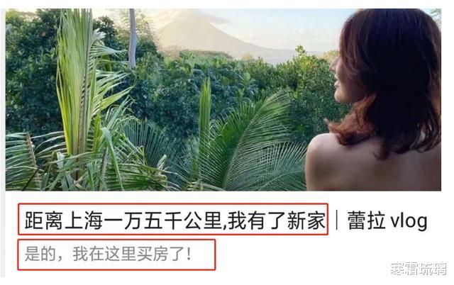 陈赫|陈赫因张子萱与许婧离婚，如今许婧的“报复”来了