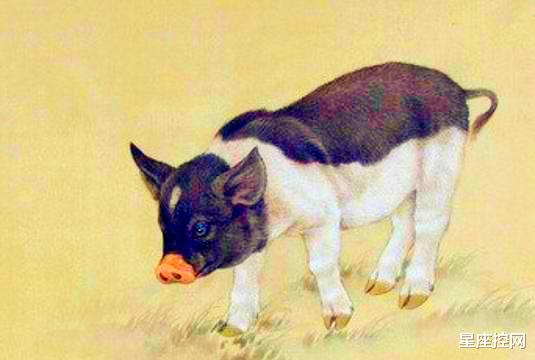 生肖|今年从2月顺利到12月的三生肖，春节后多赚钱，少受苦，幸福长