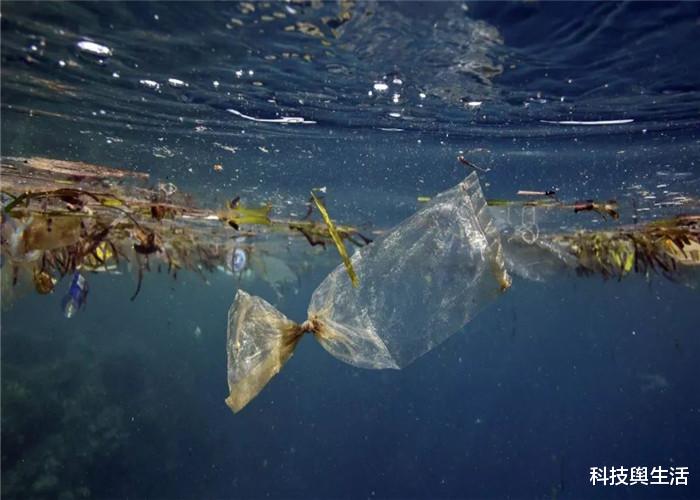『科学家』海洋10926米深处，潜水员发现不干净的东西，科学家生气了！