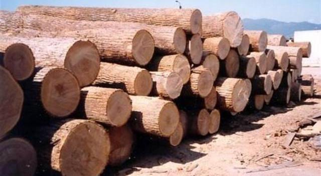 |NBA球员人均会灌篮？地板之下是否暗藏玄机？五张图片说明一切！