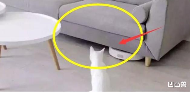 |装修别不知天高地厚瞎忙！这19个闹心装修坑，个个凶猛，不实用