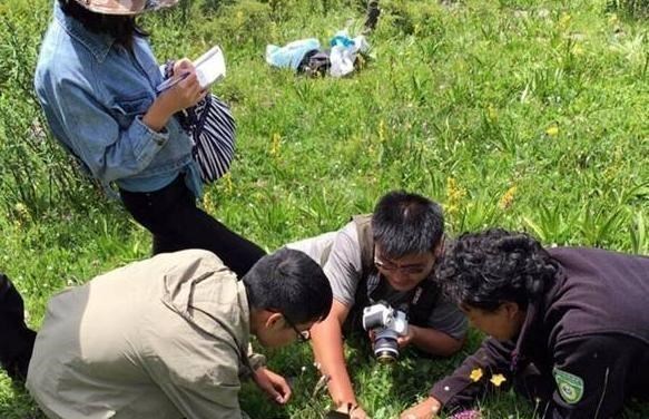 航空发动机|中国又传好消息!“超级金属”被发现,美:比钻石还难获取
