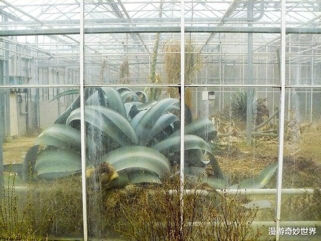 【】30个被人类遗忘的角落,遭遇大自然的反噬!