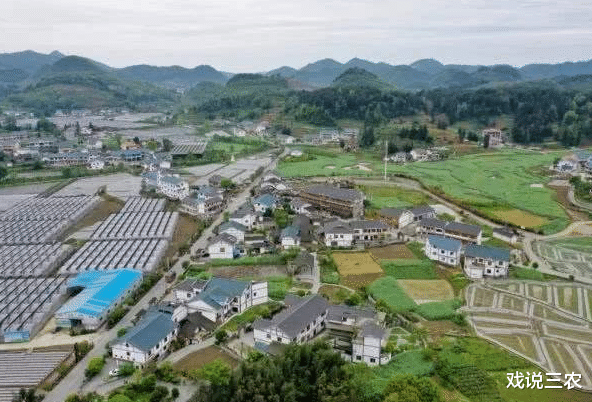 『肺炎』2020年集体产权大变革！合村并镇要启动！人均补贴8000~10000元！