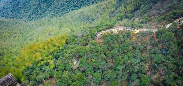 「南山竹海」苏皖两省交界处藏着一处“最美竹海”，游客却说欣赏它的美太贵了