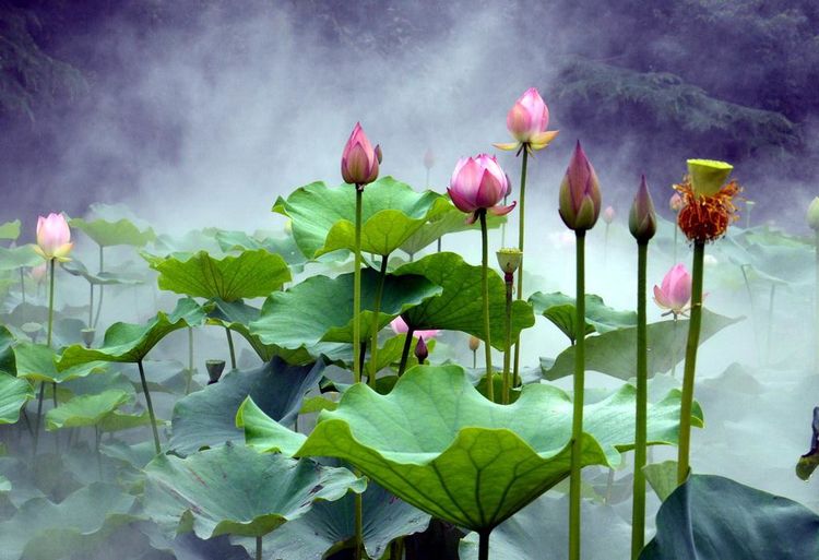 运势|9月3属相横财大赚,运势正旺,事业春风得意,一鸣惊人