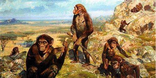 电影霸主@恐龙灭绝到人类出现，6千万年的空档期，谁主是地球霸主？