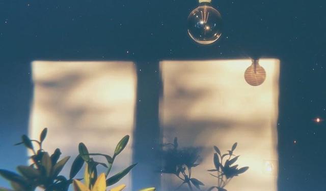 双鱼座|未来7天，痴心不忘，心结已解，三星座消除误会，积极挽回前任