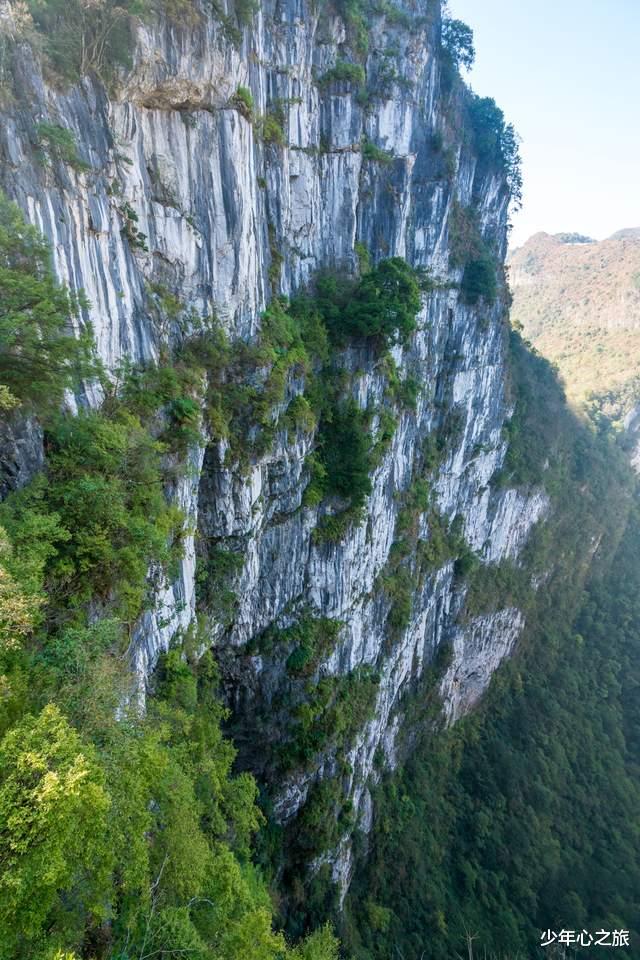 徽州|除桂林山水，广西还有世界之最的天坑，可容下上海最高建筑