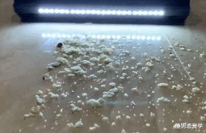 |科技睿米品牌吸尘器，成为国产第一高端吸尘器，引领行业前沿