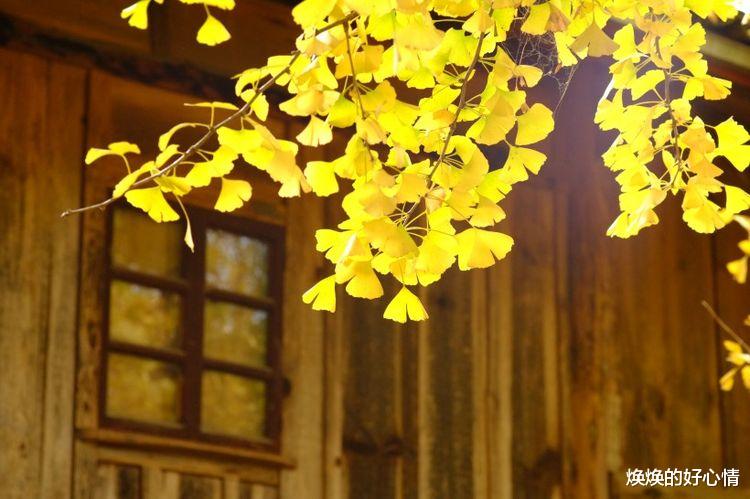 属蛇|未来10天，千里姻缘，沧海桑田，也要奔向前任，长相厮守的4星座