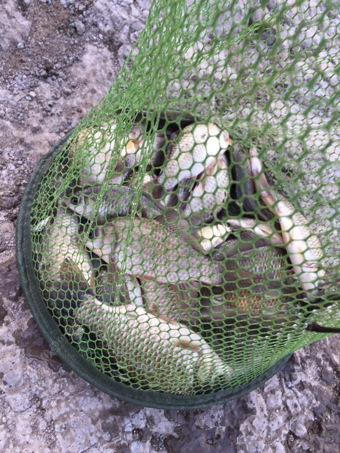 |钓鱼一定要钓明白！