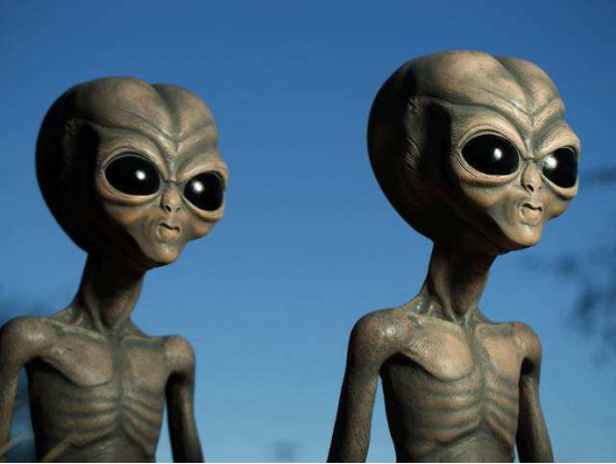 恐龙|恐龙头部发现1.5mm的弹孔，谁在6500万年前开了这一枪？