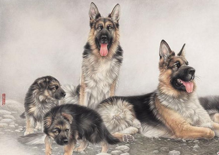 生肖▲生肖狗躲不了?三喜缠身,这个囍不接不行,想低调也不行!