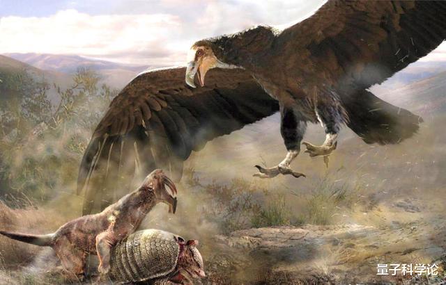「狮子」翼展达7米，体重70公斤，这种史上最大的猛禽真的以狮子为食？