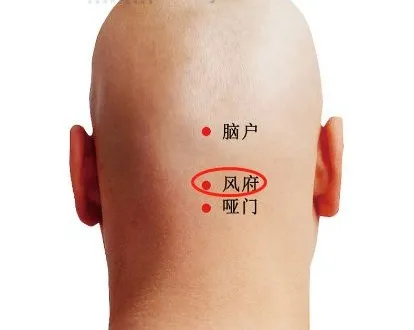 运动|“寒风起，百病始”。护好，身上自带的挡风墙！