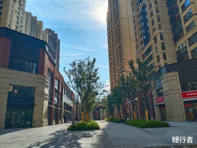 电子商务|“一铺养三代”沦为“一铺坑三代”，商铺投资彻底凉了吗？