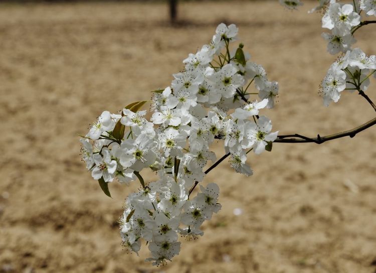 生肖|9月下旬月老送来好姻缘，四个生肖最易脱单！你准备好脱单了吗？