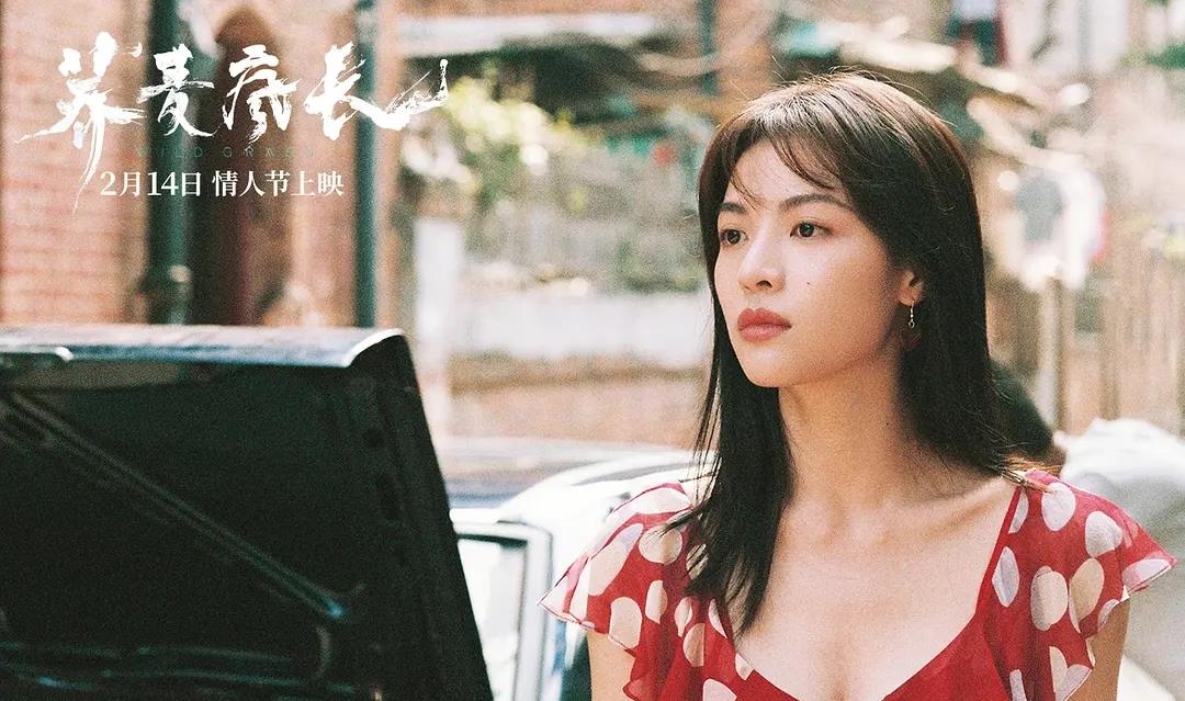 【荞麦疯长】黄景瑜马思纯钟楚曦《荞麦疯长》若今年上映,将很应景